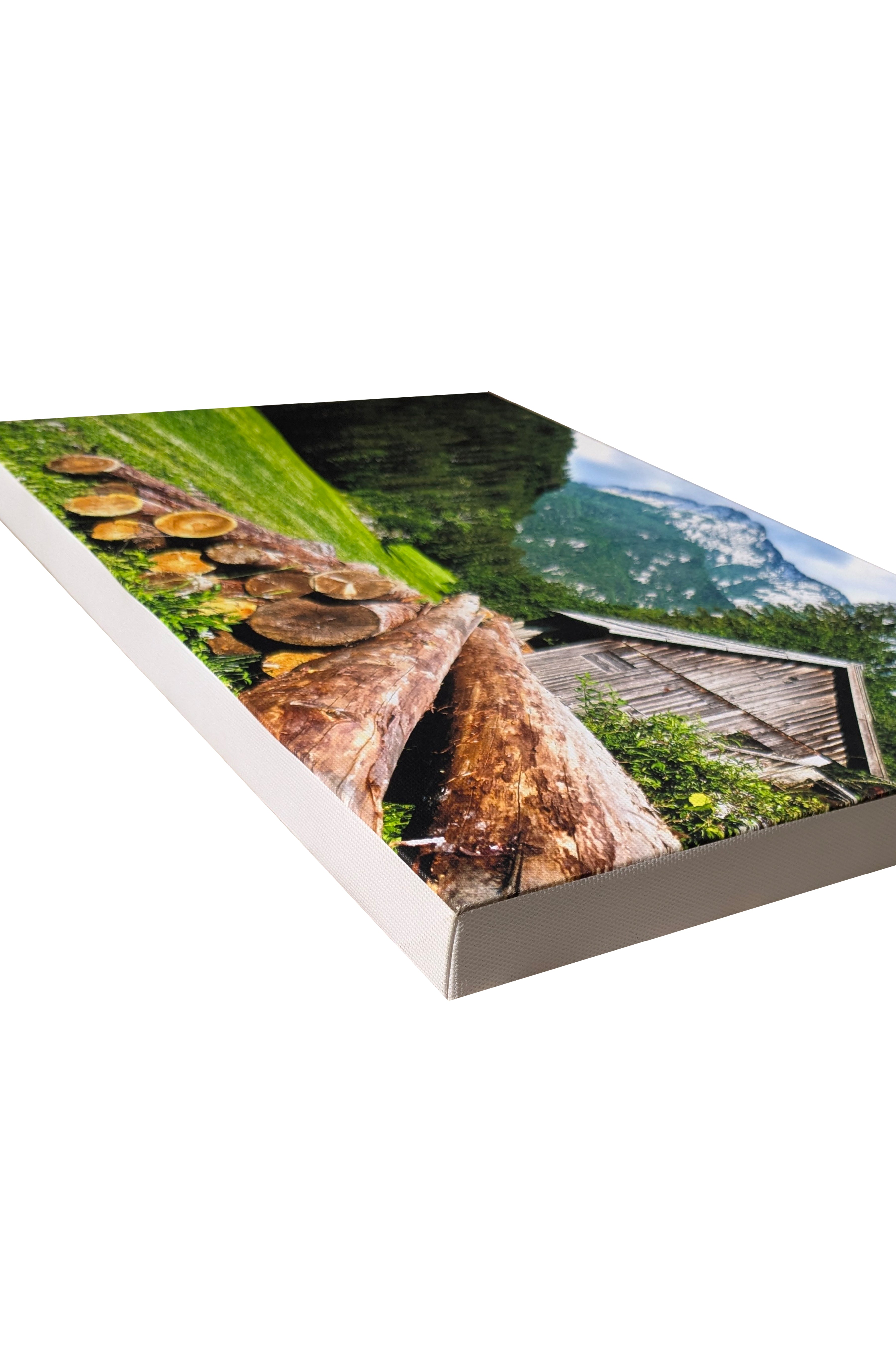 canvas2